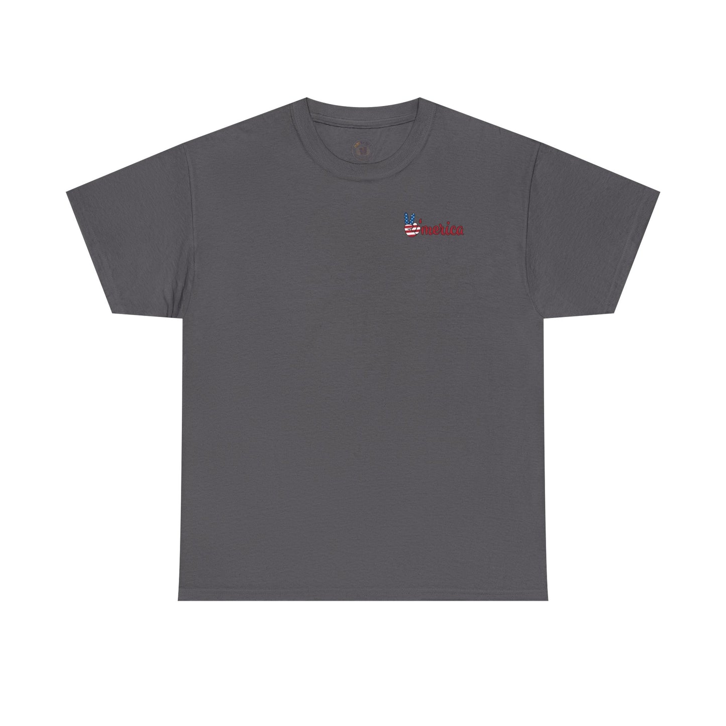 Patriotic Graphic Tee for All Occasions, USA Pride Shirt, Unisex Casual Wear, 4th of July T-Shirt, American Pride Apparel