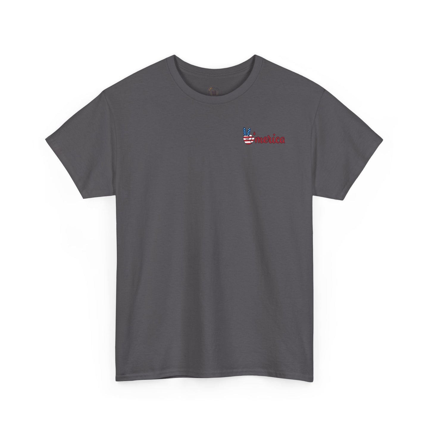 Patriotic Graphic Tee for All Occasions, USA Pride Shirt, Unisex Casual Wear, 4th of July T-Shirt, American Pride Apparel