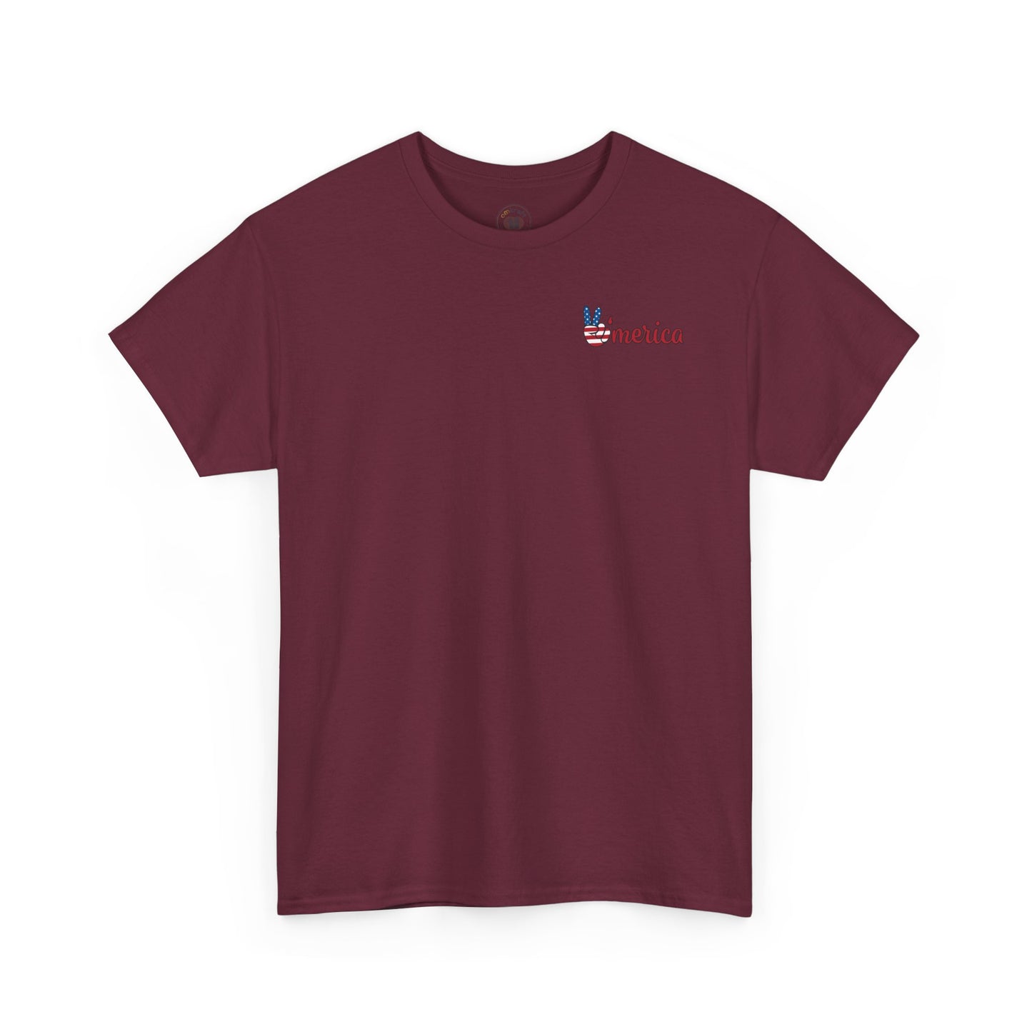 Patriotic Graphic Tee for All Occasions, USA Pride Shirt, Unisex Casual Wear, 4th of July T-Shirt, American Pride Apparel