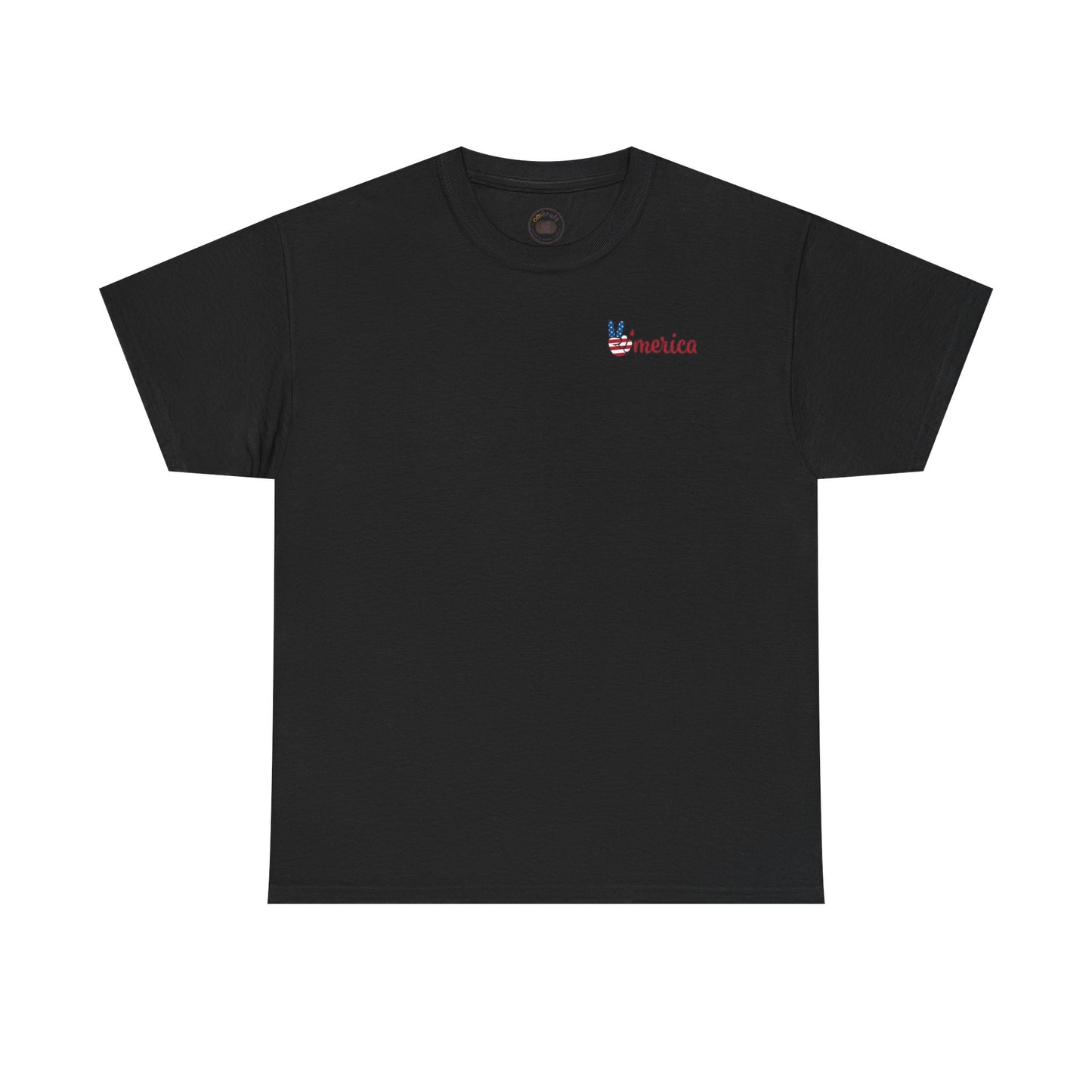 Patriotic Graphic Tee for All Occasions, USA Pride Shirt, Unisex Casual Wear, 4th of July T-Shirt, American Pride Apparel